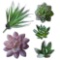 World Class Artificial Succulents Small Plants 5 sets