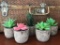 World Class Artificial Succulents Plants Pot 5 Small Plants (10 sets)