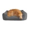 Petbao Premium Pet Bed and Lounger $99.00 MSRP