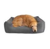 Petbao Premium Pet Bed and Lounger $99.00 MSRP