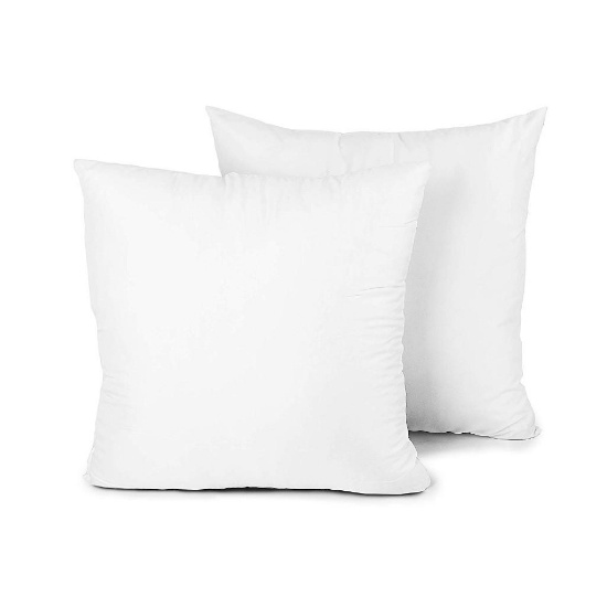 Edow Throw Pillow Insert - $27.99 MSRP
