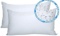 Foamily 2 Pack- 12