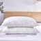 Dreaming Wapiti Pillows for Sleeping, 2 Pack Shredded Memory Foam with Machine Washable Bamboo Cover