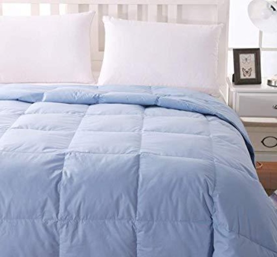 WhatsBedding 100% Cotton Down Comforter Blue Goose Duck Down