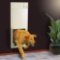 High Tech Pet Power Pet Electronic Pet Door