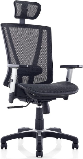 Ergomax Fully Meshed Ergonomic Height Adjustable High Back Office Desk Chair