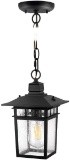 ZJOJO One Light Outdoor LED Hanging Lantern ?Hanging Lights for Porch (8244S)