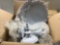 Miscellaneous General Merchandise