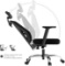 Hbada Ergonomic Office Desk Chair with Adjustable Armrest, Black (HDNY143BS/IN)