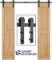 SmartStandard 6.6FT Heavy Duty Double Door Sliding Barn Door Hardware Kit-Smoothly and Quietly-Easy