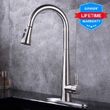 GAVAER Kitchen Sink Faucet