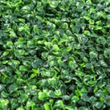 Sunnyglade Artificial Boxwood Panels Topiary Hedge Plant