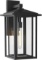 Zeyu Exterior Wall Sconce, 21