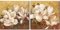 Pyradecor Magnolia Flowers Large Modern 2 Panels Gallery Wrapped Floral Giclee Canvas Prints