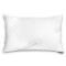 WonderSleep Dream Rite Hypoallergenic Memory Foam Pillow (1 Pack)