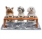 Yangbaga Elevated Dog Bowls with Stainless Steel Dog Bowls and Anti-Slip Feet for The Stand