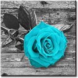 JiazuGo Canvas Wall Art Home Decorations Rose Painting Teal Black and White Floral Pictures