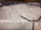 Miscellaneous General Merchandise