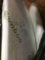 Bamboo Memory Pillow