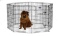 Midwest 554-36DR Black E-Coat Exercise Pen With Door