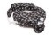 My Brest Friend 100% Cotton Nursing Pillow Original Slipcover ? Machine Washable $12.95 MSRP