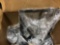 Miscellaneous General Merchandise