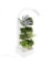 BlueSkyGrow Indoor Vertical Garden Hydroponic Self Watering Planter LED Light 8 Plants Herbs Flower