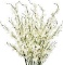 TYEERDEC Artificial Orchids Flowers, 10 Pcs Silk Fake Orchids Flowers - $23.99 MSRP