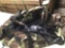 Heavy Duty Square Cargo Duffel Large Sport Gear Equipment Travel Bag Rooftop Rack Bag - Camo