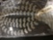 Miscellaneous General Merchandise