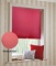 Beryhome Blackout Roller Window Shades - Window Blinds Cordless for Home, BedroomWall Art Decoration