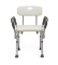Guardian Bath Bench with Back and Arms