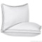 Songmics Down Alternative Super Soft Microfiber Filled Pillows (Queen 20 x 30 Inches)