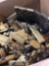 Miscellaneous General Merchandise