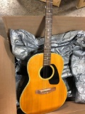 Applause Acoustic Guitar