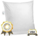 ComfyDown 95% Feather 5% Down, 21 X 21 Square Decorative Pillow Insert
