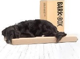 Barkbox Memory Foam Platform Dog Bed