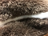 Miscellaneous General Merchandise