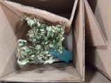 Brussel's Bonsai