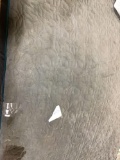 Foam, Dog Bed