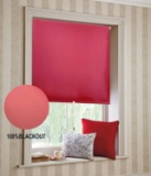 Beryhome Blackout Roller Window Shades - Window Blinds Cordless for Home, BedroomWall Art Decoration