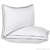 Songmics Down Alternative Super Soft Microfiber Filled Pillows (Queen 20 x 30 Inches)