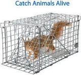 Gingbau Heavy Duty Live Animal Trap for Squirrels
