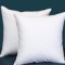 Down Feather Throw Pillow Inserts 24
