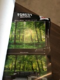 Forest Wallpaper; Poster