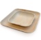Disposable Plates
