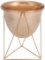 Soprety Gold Cactus Pot Metal Modern Planter Pot, 7.8 Inch - $19.98 MSRP