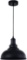 Pendant Lighting Metal Industrial Vintage Hanging Ceiling, Black, for Kitchen Home Lighting