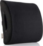 Ziviga Lower Back Lumbar Support Pillow - Instant Pain Relief for Office Chair $25.95 MSRP