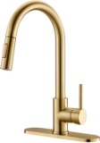 Havin HV601 Brass Kitchen Faucet with Pull Down Sprayer,Brushed Gold Color, Fit for 1 Hole